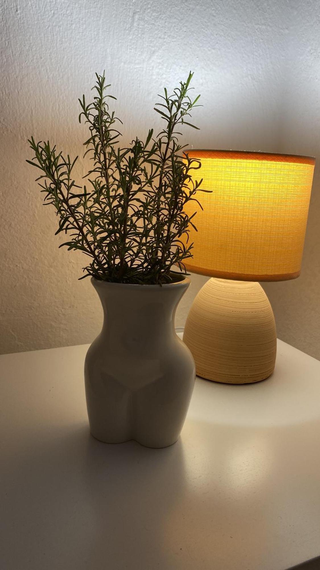 Apartman Ivan Vir Esterno foto